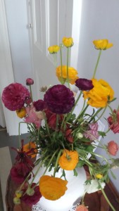 To wish Nigel Farage a happy retirement from work with UKIP